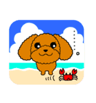 夏のトイプードル・ココア（個別スタンプ：15）