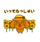 夏のトイプードル・ココア（個別スタンプ：17）