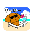 夏のトイプードル・ココア（個別スタンプ：26）