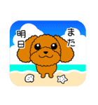 夏のトイプードル・ココア（個別スタンプ：36）