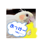 我が家のかわいんこ2（個別スタンプ：2）