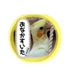 我が家のかわいんこ2（個別スタンプ：3）