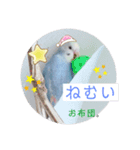 我が家のかわいんこ2（個別スタンプ：4）