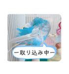我が家のかわいんこ2（個別スタンプ：6）