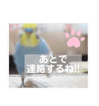 我が家のかわいんこ2（個別スタンプ：8）