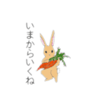 おうじさまとウサギさん（個別スタンプ：11）