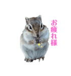 小さなパートナー（個別スタンプ：2）