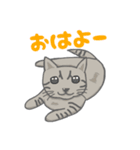 すてぃーぼちゃーりー（個別スタンプ：1）