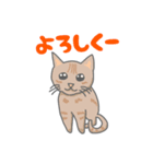 すてぃーぼちゃーりー（個別スタンプ：5）