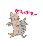 すてぃーぼちゃーりー（個別スタンプ：7）