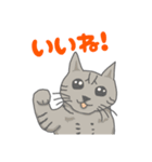 すてぃーぼちゃーりー（個別スタンプ：9）