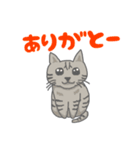 すてぃーぼちゃーりー（個別スタンプ：10）