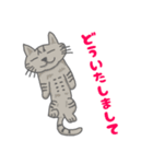 すてぃーぼちゃーりー（個別スタンプ：11）