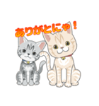 Amazing Cats Coco＆Suzu（個別スタンプ：1）