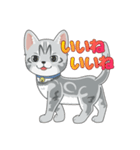 Amazing Cats Coco＆Suzu（個別スタンプ：2）