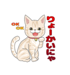 Amazing Cats Coco＆Suzu（個別スタンプ：8）