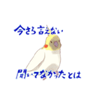 オカメインコとシナモン文鳥2（個別スタンプ：15）