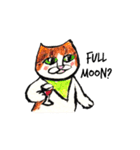 White beachの猫たち（個別スタンプ：15）
