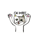 White beachの猫たち（個別スタンプ：19）
