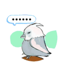 WF オカメインコのスタンプ 向かってます編（個別スタンプ：16）