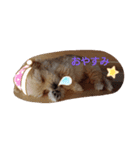 あいぽち4（個別スタンプ：3）