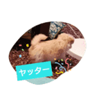 あいぽち4（個別スタンプ：4）