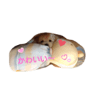 あいぽち4（個別スタンプ：5）
