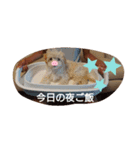 あいぽち4（個別スタンプ：6）