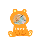 あいぽち4（個別スタンプ：8）