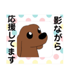 先輩だわん（個別スタンプ：12）