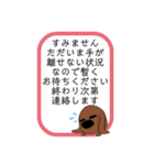 先輩だわん（個別スタンプ：37）