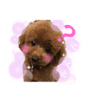 今日のわん子（個別スタンプ：1）