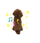 今日のわん子（個別スタンプ：5）