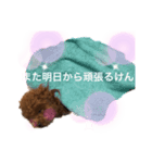 今日のわん子（個別スタンプ：6）