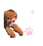 犬と毎日使えるスタンプ（個別スタンプ：6）