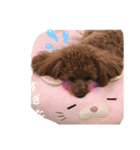 犬と毎日使えるスタンプ（個別スタンプ：7）