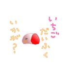 いちごだいふくちゃんの旅（個別スタンプ：4）