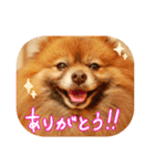 いぬっころの簡単スタンプ（個別スタンプ：1）