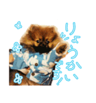 いぬっころの簡単スタンプ（個別スタンプ：8）