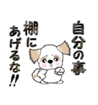 シーズー犬(怒・哀・開き直り)Vol.33（個別スタンプ：16）