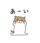 お返事をするねこ（個別スタンプ：3）