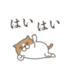 お返事をするねこ（個別スタンプ：4）