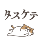 お返事をするねこ（個別スタンプ：16）