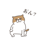 お返事をするねこ（個別スタンプ：34）