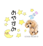 かわいい5ワン（個別スタンプ：8）