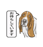 バセットハウンド(犬) 30（個別スタンプ：4）