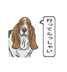 バセットハウンド(犬) 30（個別スタンプ：18）