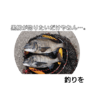 海釣り ふかせ 黒鯛 チヌ 魚釣り スタンプ（個別スタンプ：4）