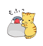 キジねこさん（個別スタンプ：1）