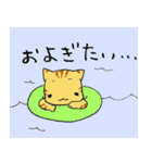 キジねこさん（個別スタンプ：25）